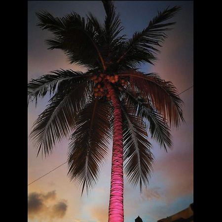La Palmera Hostel プエルト・エスコンディード エクステリア 写真