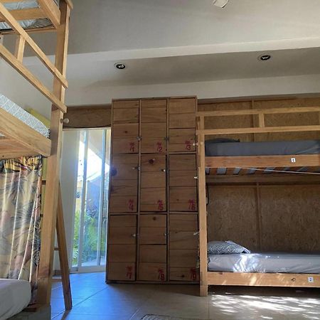 La Palmera Hostel プエルト・エスコンディード エクステリア 写真