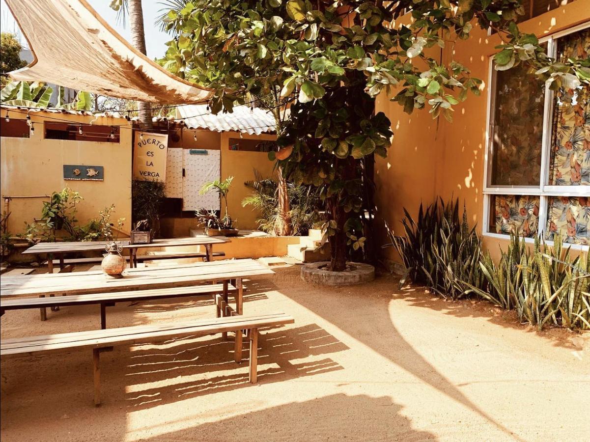 La Palmera Hostel プエルト・エスコンディード エクステリア 写真