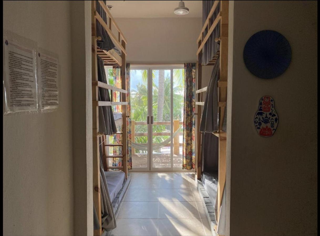 La Palmera Hostel プエルト・エスコンディード エクステリア 写真