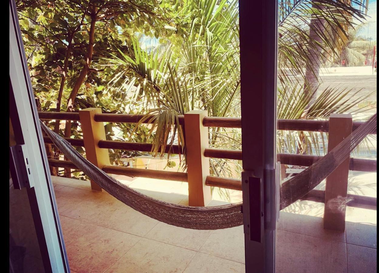 La Palmera Hostel プエルト・エスコンディード エクステリア 写真