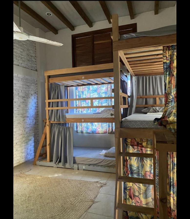 La Palmera Hostel プエルト・エスコンディード エクステリア 写真