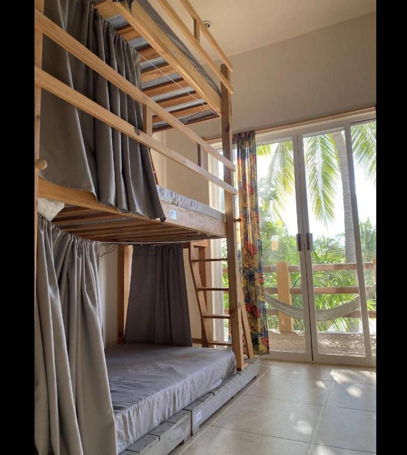La Palmera Hostel プエルト・エスコンディード エクステリア 写真