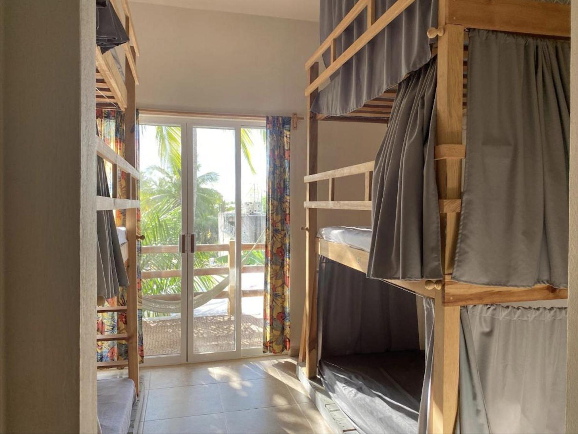 La Palmera Hostel プエルト・エスコンディード エクステリア 写真