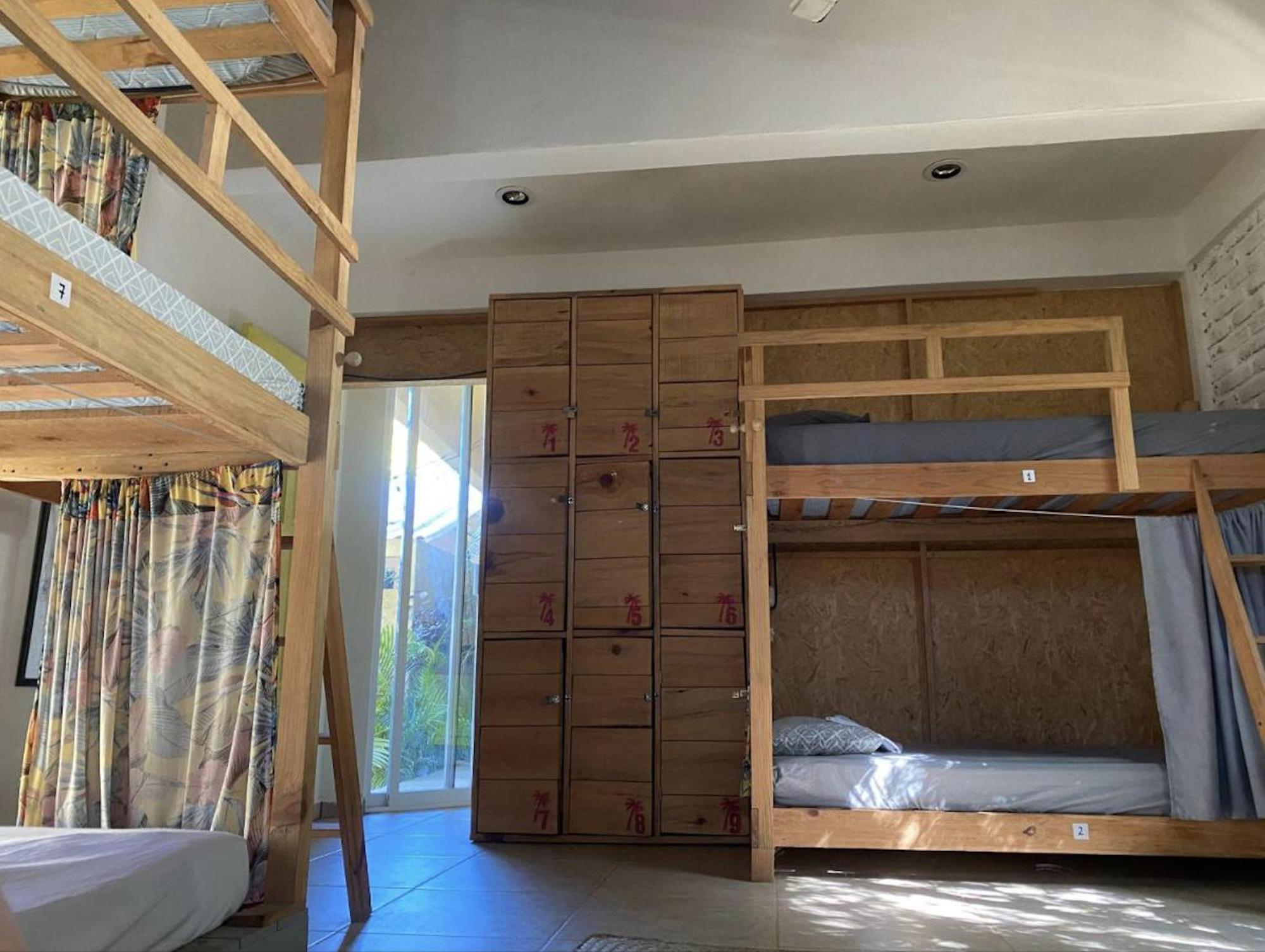 La Palmera Hostel プエルト・エスコンディード エクステリア 写真
